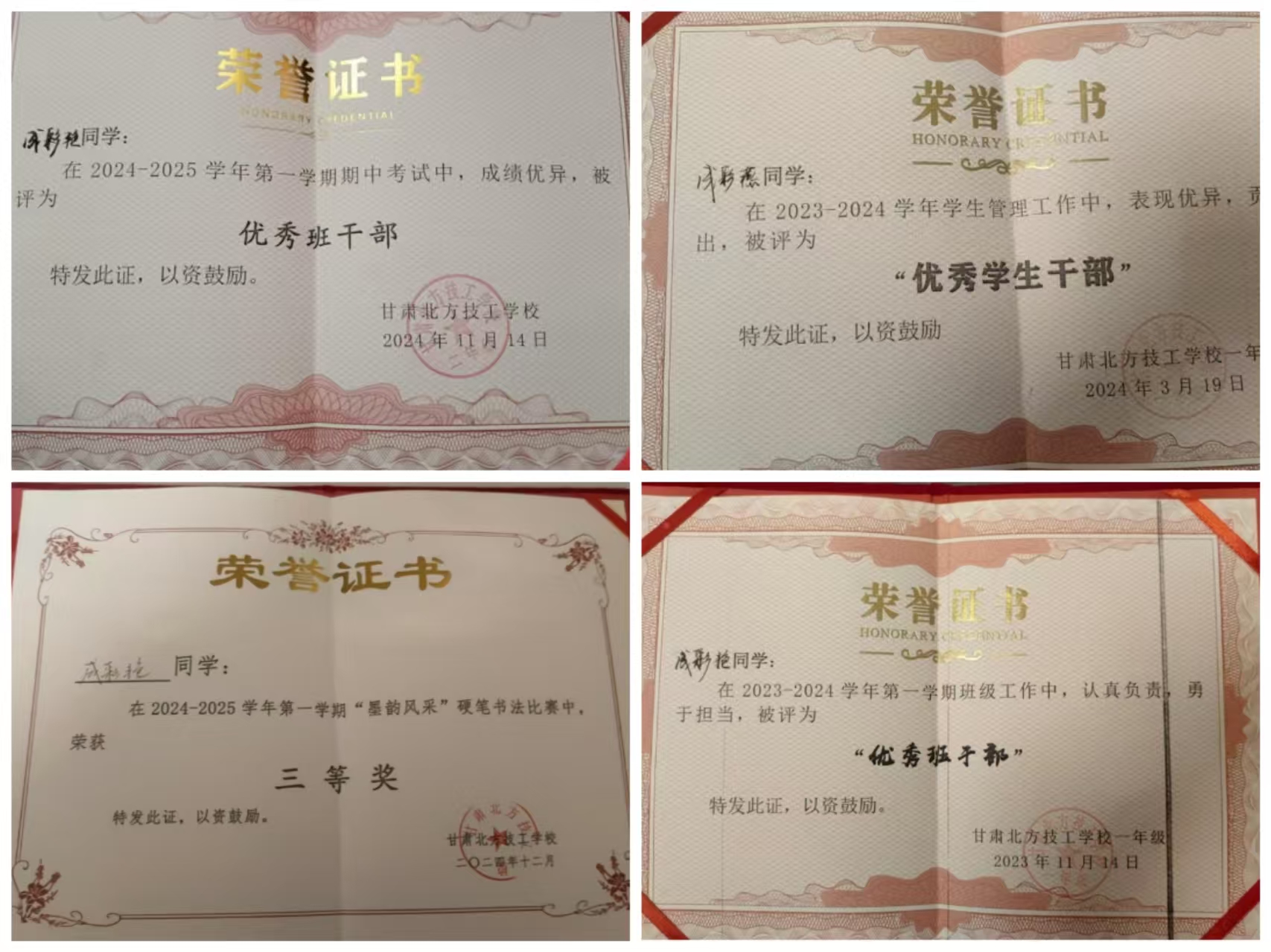 青衿之志 履践致远 | “学习之星”：成彩燕